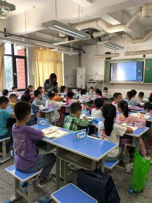積極組織課后服務(wù)，讓教育更有溫度——一年級課后延時服務(wù)活動紀(jì)實(shí)與教育咨詢服務(wù)